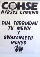 POSTER-SUBJ-TU-0012.jpg; POSTER/SUBJ/TU/0012; Poster - Confederation of Health Service Employees: Nyrsys Cymreig;
